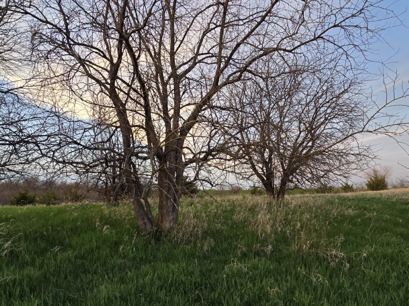 Listing photo 33